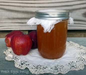 Make your own Apple Cider Vinegar Image